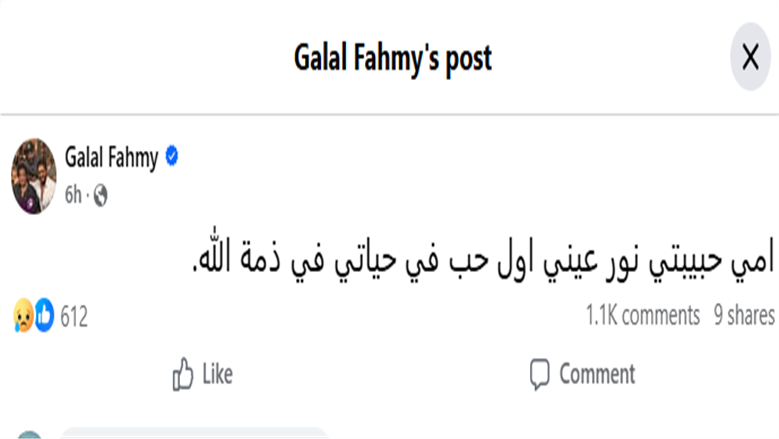 جلال فهمي