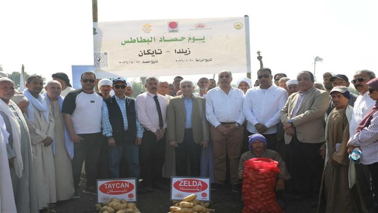 تصدير الإنتاج يصل إلى 90 دولة.. محافظ المنيا يتابع حصاد 44 ألف فدان بطاطس