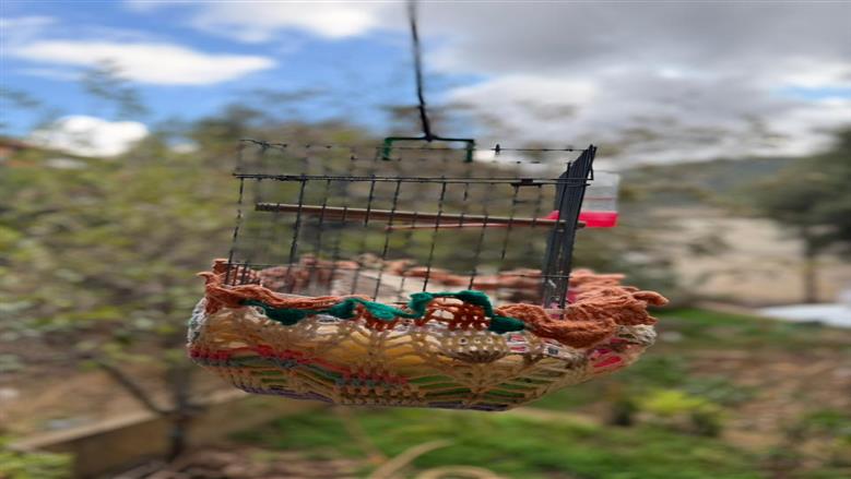 بيت الست امينة