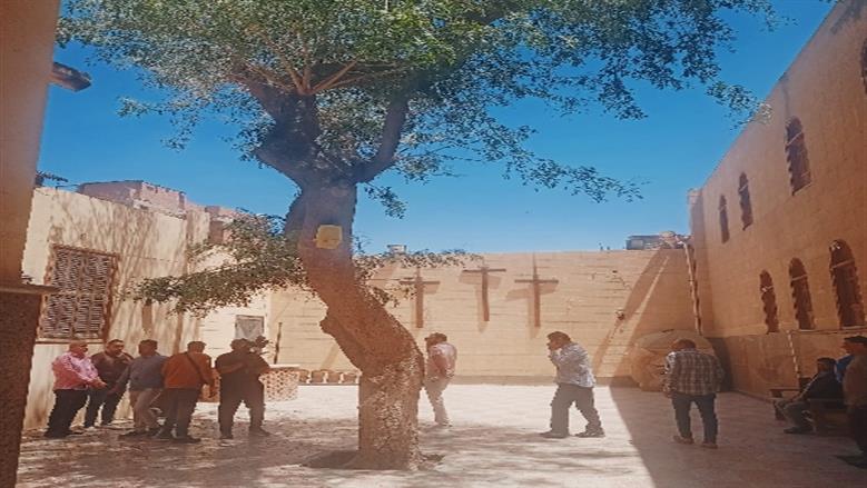 محافظة القليوبية 