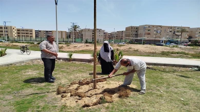 توسعة الرقعة الخضراء وتطوير المناطق السكنية في زهور بورسعيد 
