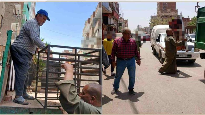 المنوفية