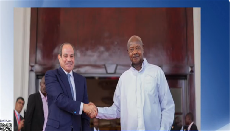 أستاذ علاقات دولية: مصر عادت إلى إفريقيا منذ عام 2014 ورسخت مكانتها 