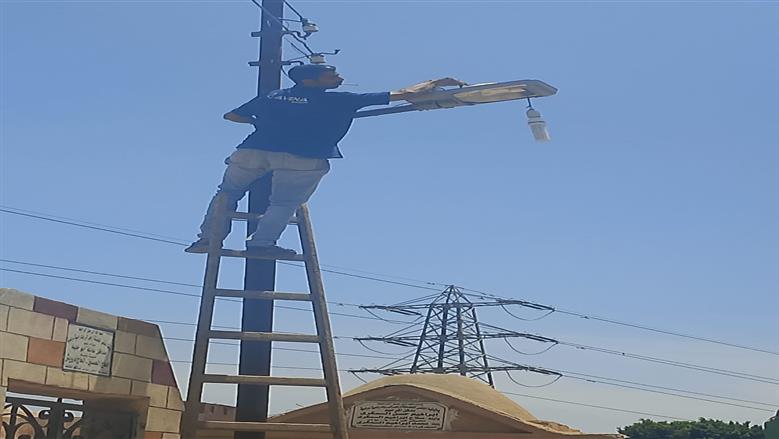 المنوفية