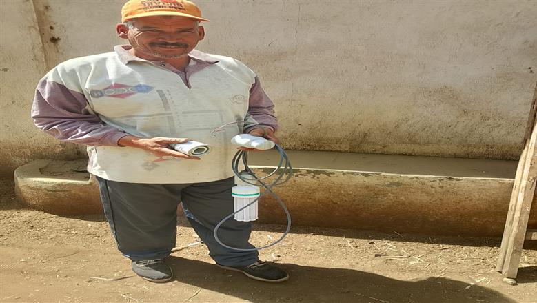 المنوفية