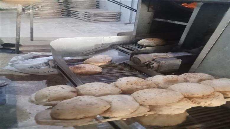 المنوفية