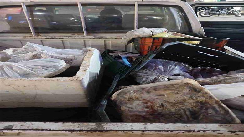 المنوفية