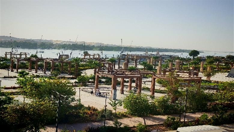 شيماء طه 