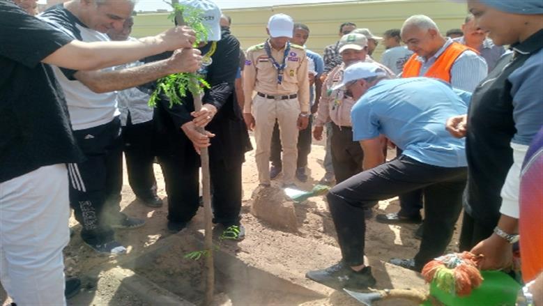 شيماء طه 