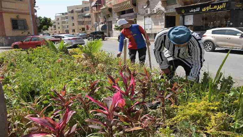 محافظ بورسعيد يتفقد زراعه اشجار البونسيانا 