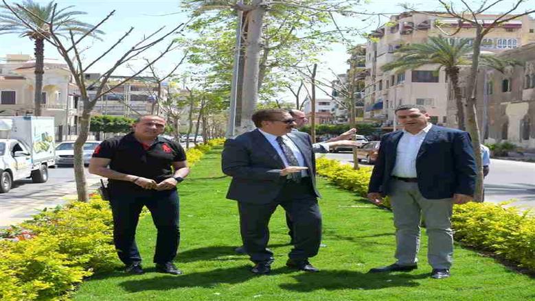 محافظ بورسعيد يتفقد زراعه اشجار البونسيانا 