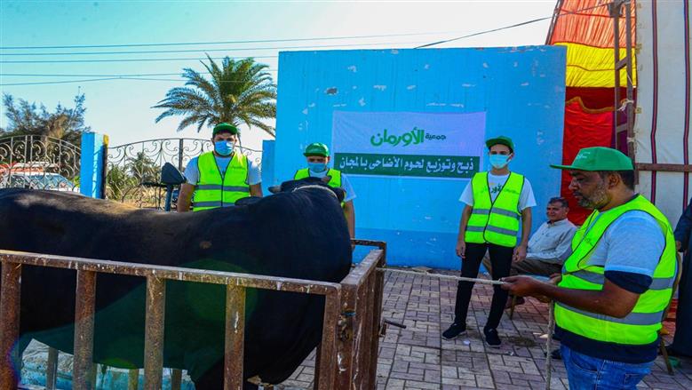 أضاحي العيد يجرى تجهيزها من جمعية الأورمان لذبحها في محافظة مطروح