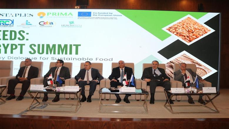 رئيس «بحوث الصحراء»: إنتاج مصر من القمح تجاوز 10 ملايين طن.. ولدينا اكتفاء ذاتيا من الأرز