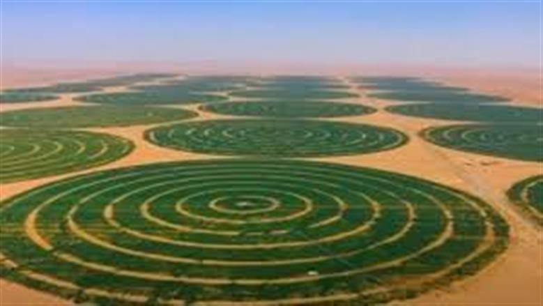استشاري تنمية مستدامة: مشروع الدلتا الجديدة يعيد تشكيل الخريطة الزراعية والغذائية في مصر