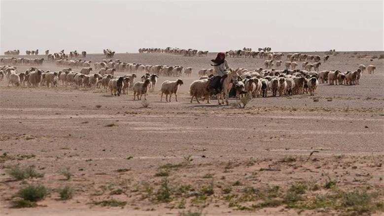 تفاصيل جديدة عن الوجود العسكري الإسرائيلي السري في العراق.. قاعدتان بقلب الصحراء