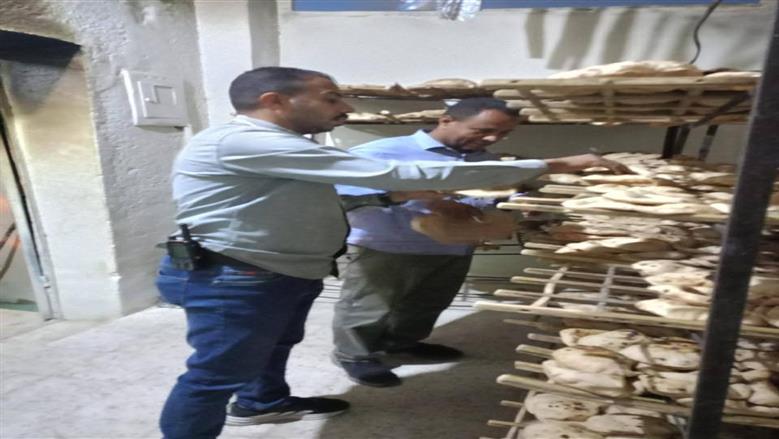 تحرير 261 مخالفة متنوعة وضبط صيدلية بدون ترخيص في المنيا 