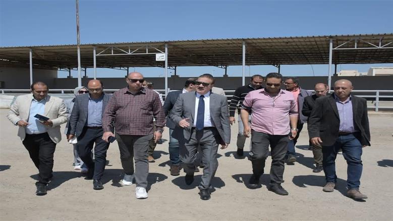 استعدادات ذبح الاضاحي ببورسعيد ورسعيد