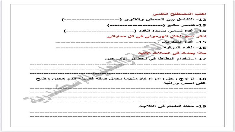 تعليم الإسكندرية