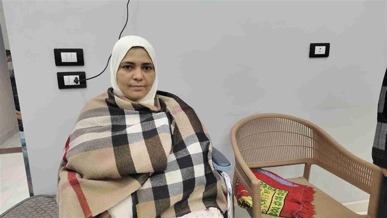 المنوفية