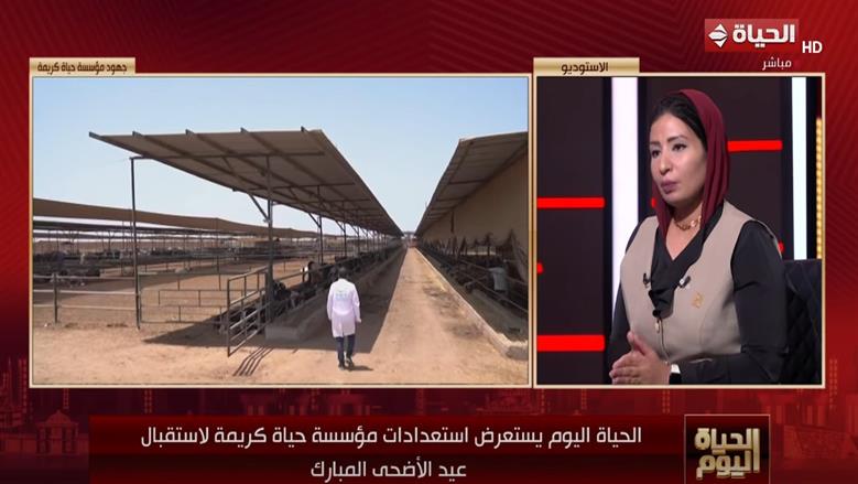 هند جلال توضح استراتيجية «حياة كريمة» لتوزيع اللحوم وتمكين الأسر قبل عيد الأضحى