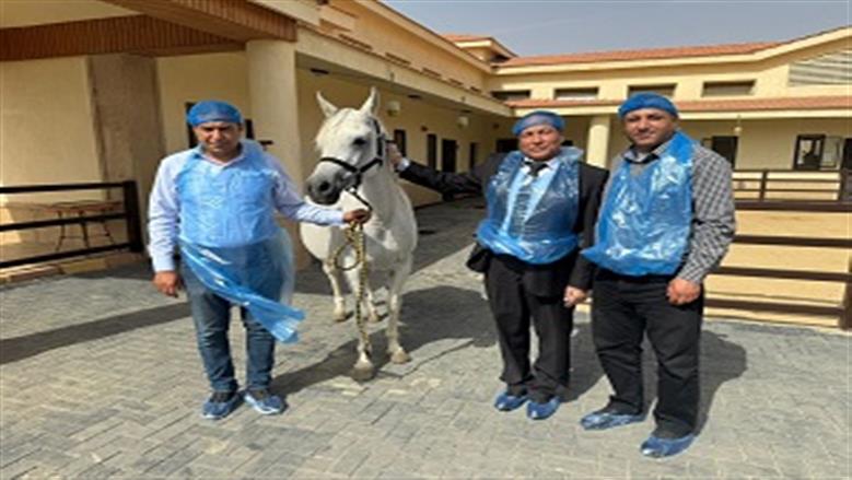 رئيس الحجر البيطري الأردني: الخيول المصرية تتمتع بسمعة متميزة عالميا