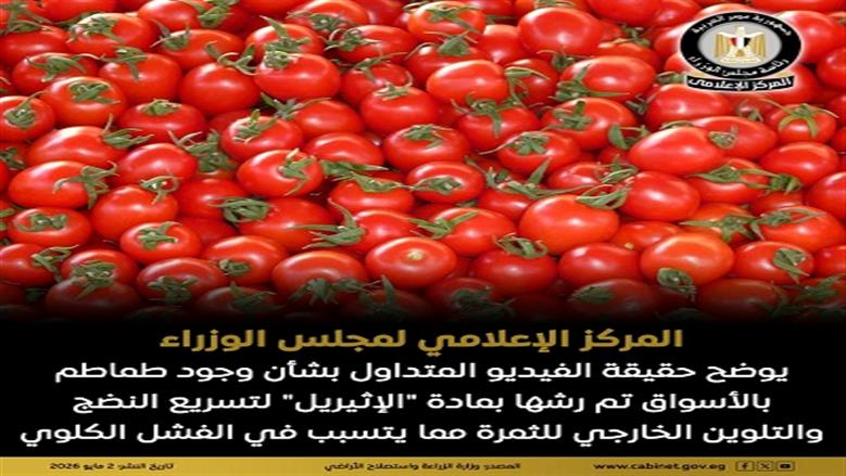«إعلامي الوزراء» ينفي وجود طماطم مرشوشة بـ«الإثيريل» في الأسواق