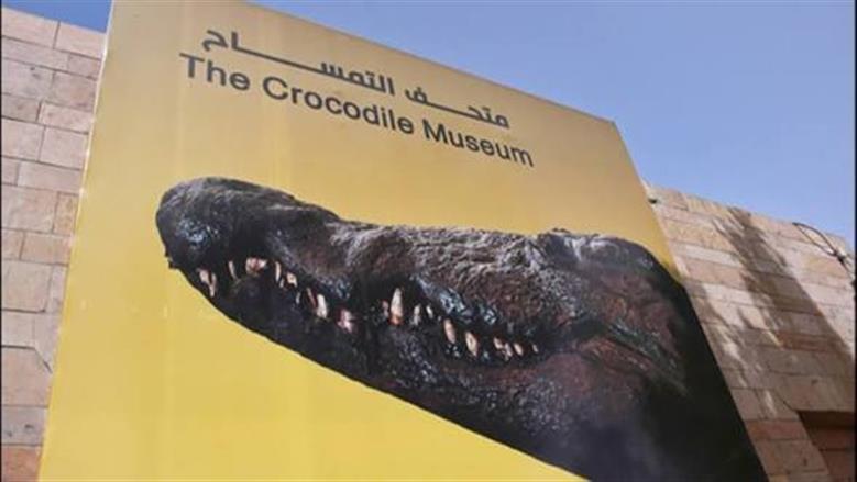 مواعيد زيارة متحف التمساح بالأقصر يوميا.. اعرف أسعار التذكرة
