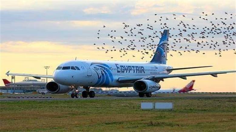 مصر للطيران تستقبل طائرة جديدة خلال ساعات
