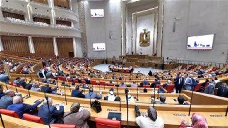 طلب برلماني لزيادة مكافأة أطباء الامتياز للحد الأدنى للأجور