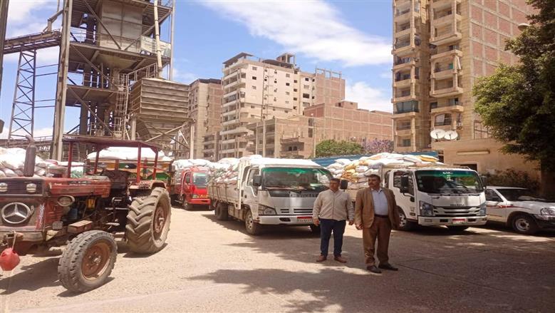 المنوفية