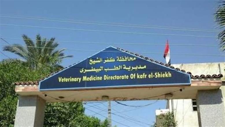 كفر الشيخ تستعد لعيد الأضحى بـ19 مجزرا حكوميا واستقبال الأضاحي بالمجان