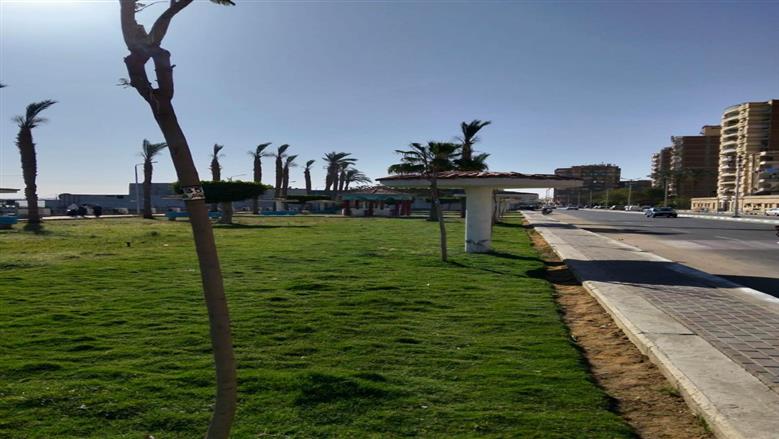 اعمال تشجير 