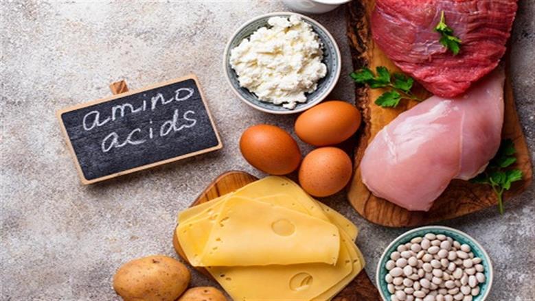السر في اللحوم والألبان.. كيف يمنع حمض «الليوسين» انهيار محطات الطاقة في خلايا الجسم؟