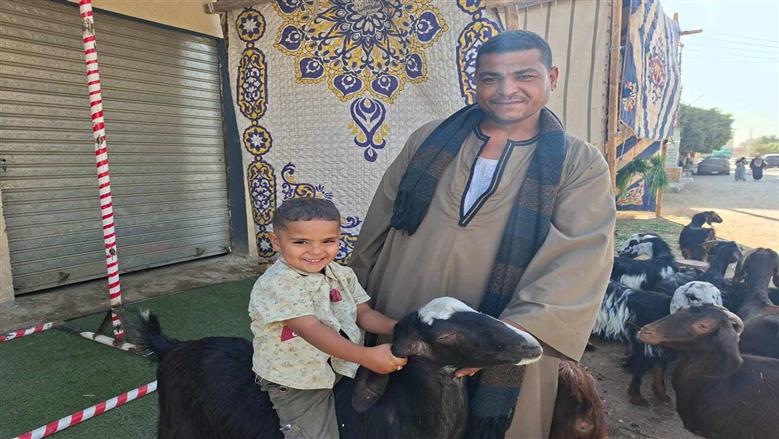 «الأضاحي بأسعار مخفضة» مبادرة لأهالي أسيوط الأولى بالرعاية