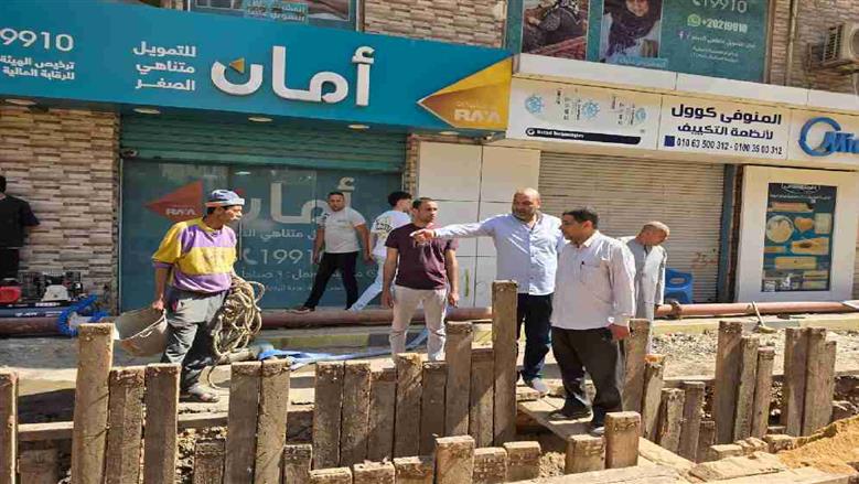 المنوفية