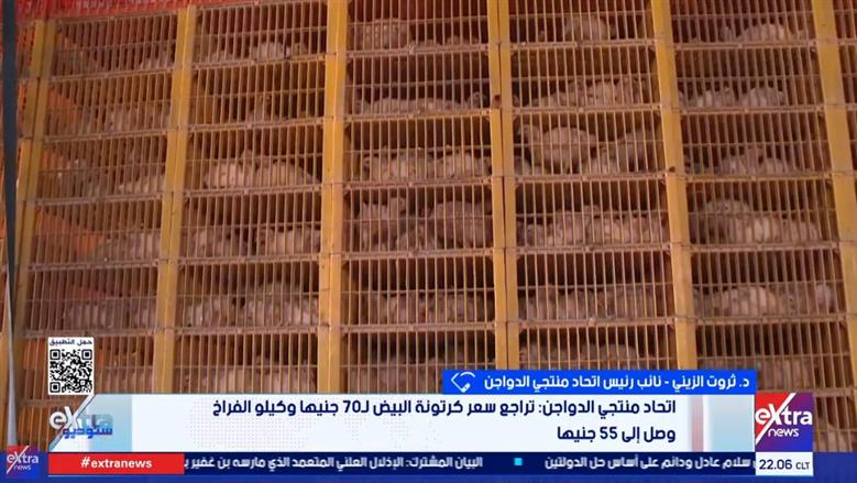 «منتجي الدواجن»: كرتونة البيض في المزرعة بـ75 جنيها