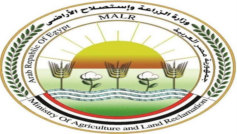 «الزراعة» تعلن طفرة في صادرات الخيول المصرية إلى الأسواق العربية والأوروبية 