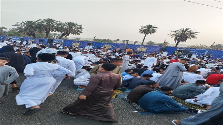 شيماء طه