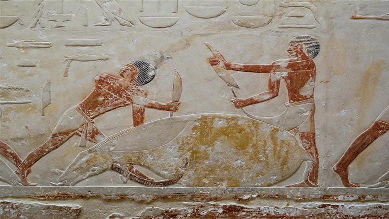 قبل عيد الأضحي .. خبير أثري يوضح طقوس الذبح وتقديم القرابين في مصر القديمة