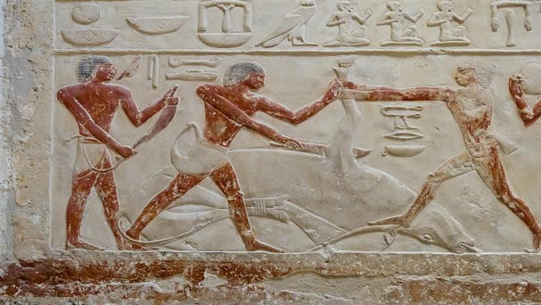 قبل عيد الأضحي .. خبير أثري يوضح طقوس الذبح وتقديم القرابين في مصر القديمة