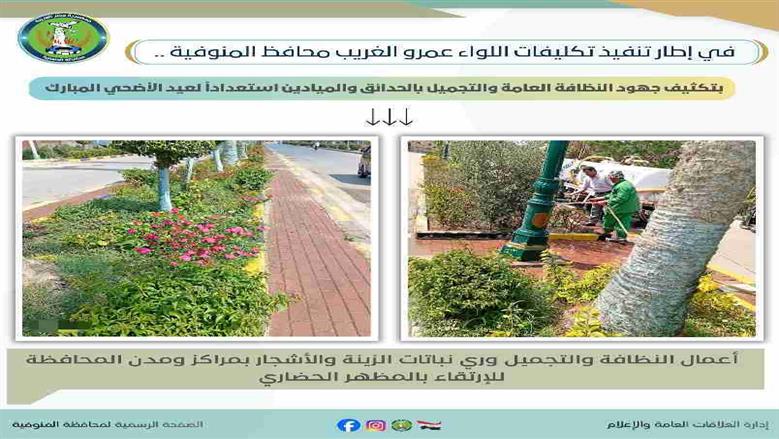 المنوفية