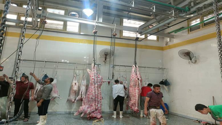 «طب بيطري السادات» تعلن جاهزية مجزر شبين الكوم المطور لاستقبال الأضاحي