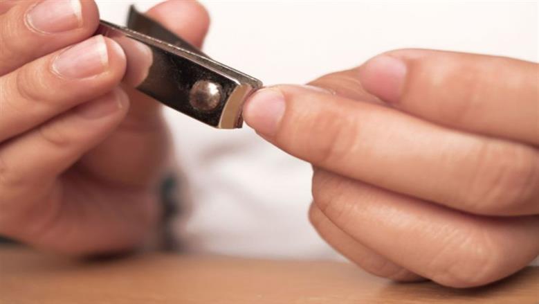هل تقليم الأظافر قبل العيد يبطل الأضحية؟.. «الإفتاء» توضح 