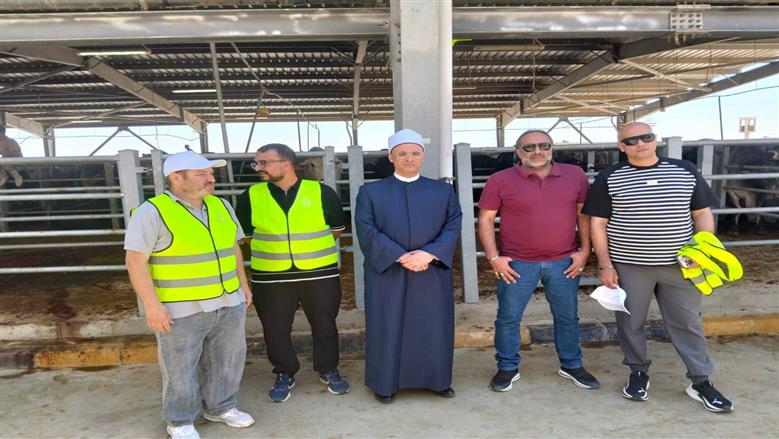 بدء ذبح أضاحي الأوقاف بالمجازر المعتمدة تحت إشراف بيطري متخصص