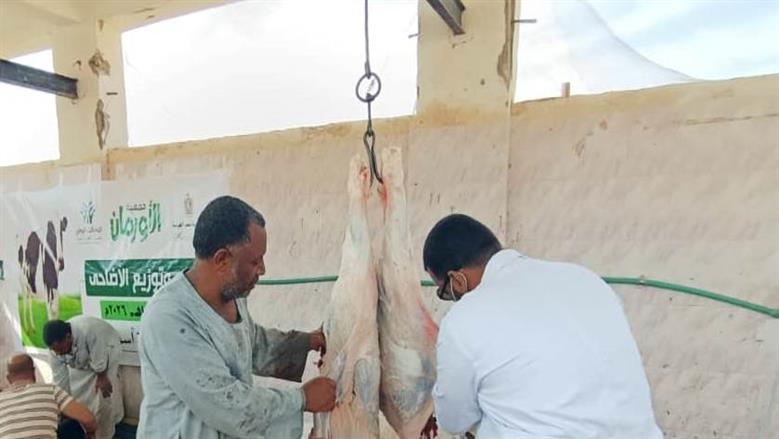 رفع درجة الاستعداد القصوى بمجازر أسوان طوال أيام عيد الأضحى وتكثيف أعمال النظافة والتطهير