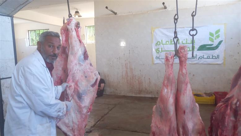 استمرار استقبال المذبوحات بالمجان داخل المجازر الحكومية في إطار توجيهات المهندس عبدالمطلب عماره محافظ الاقصر، باستقبال جميع المذبوحات خلال أيام عيد الاضحى المبارك بالمجان داخل المجازر الحكومية لصالح الجمعيات الخيرية والاهلية والاهالي، وتحت الاشراف البيطري الكامل لمديرية الطب البيطري بالاقصر، استقبلت مجازر المحافظة خلال ثالث أيام العيد عدد 65 عجلا، تم ذبحها وتجهيزها لتوزيع لحومها بالمجان على الاسر الاولى بالرعاية بمختلف مراكز ومدن المحافظة. الطب البيطري: الاشراف الكامل لضمان سلامة اللحوم ومن جانبه، صرح الدكتور طارق لطفي مدير مديرية الطب البيطري بالاقصر، بأن المجازر الحكومية استقبلت الذبائح المقدمة من عدد من الجمعيات الخيرية، من بينها جمعية الاورمان، ومصر الخير، وجمعية علي العديسي، وبنك الطعام، وجمعية رسالة، وذلك ضمن جهود دعم الاسر المستحقة خلال عيد الاضحى المبارك وأوضح مدير مديرية الطب البيطري بالاقصر أن عدد الاسر المستفيدة من اللحوم التي تم توزيعها خلال ثالث أيام العيد بلغ نحو 13 الف اسرة مستحقة، مؤكدا استمرار تقديم خدمات الذبح المجاني داخل المجازر الحكومية طوال أيام العيد، مع توفي