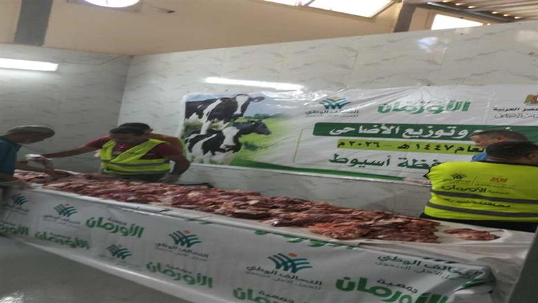 التحالف الوطني يوزع لحوم 40 عجلا على الأسر الأولى بالرعاية في أسيوط