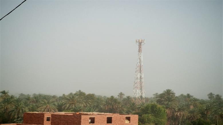 شيماء طه