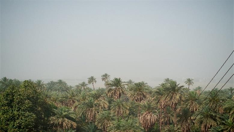 شيماء طه