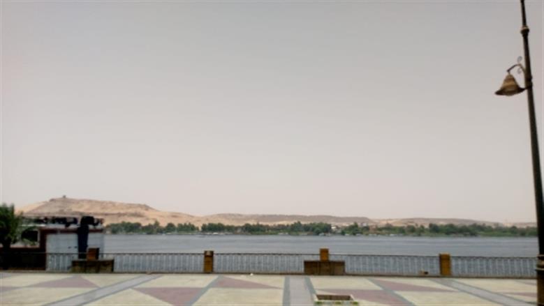 شيماء طه